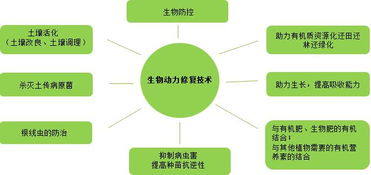復振科技 從醫(yī)藥跨界環(huán)保的“野蠻人”，如何在環(huán)境科技領域開疆拓土？