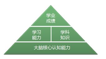 筑夢(mèng)前行 視友科技以環(huán)境科技開拓全腦培育新領(lǐng)域，助力幼兒智慧教育